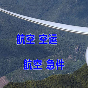 浪头机场物流快递-选东方航空和上海航空